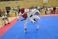 Foto für Taekwondo Schule Fulpmes